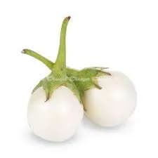  Brinjal - கத்திரிக்காய்