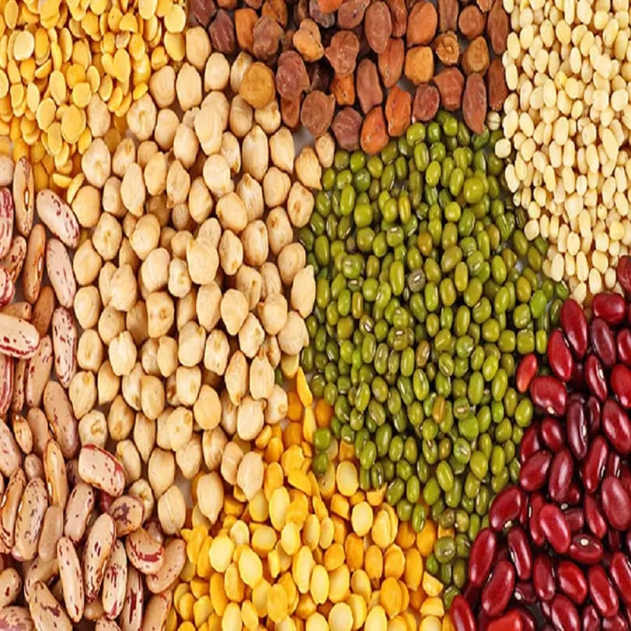 Dals & Pulses